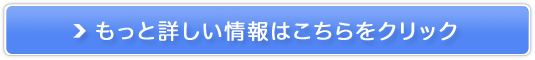 BugFix^cIC̃vO~OXN[ySiiDz̔TCg